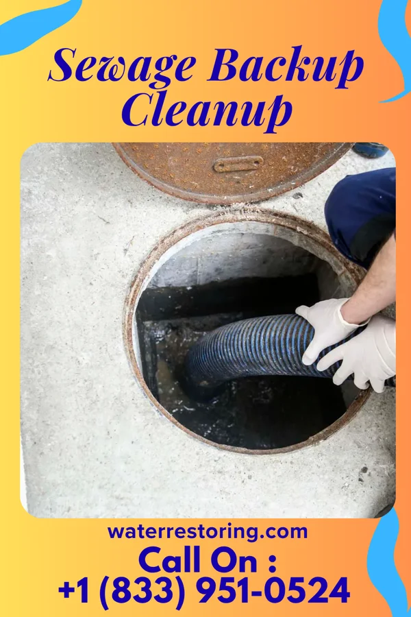 Sewage Backup Cleanup in Waterville, KS